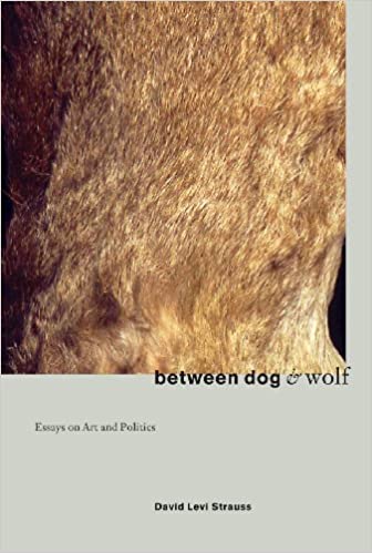between dog & wolf, Essays on Art and Politics