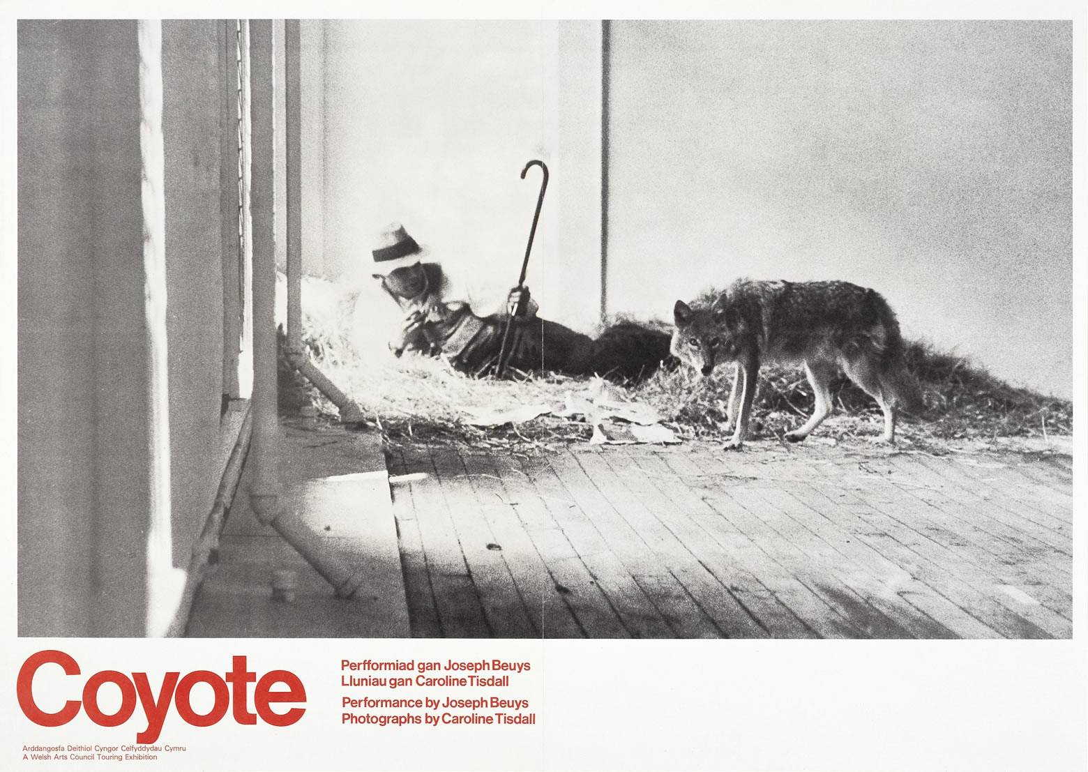 Coyote. Perfformiad gan Joseph Beuys, Lluniau gan Caroline Tisdall. Cardiff. 1978