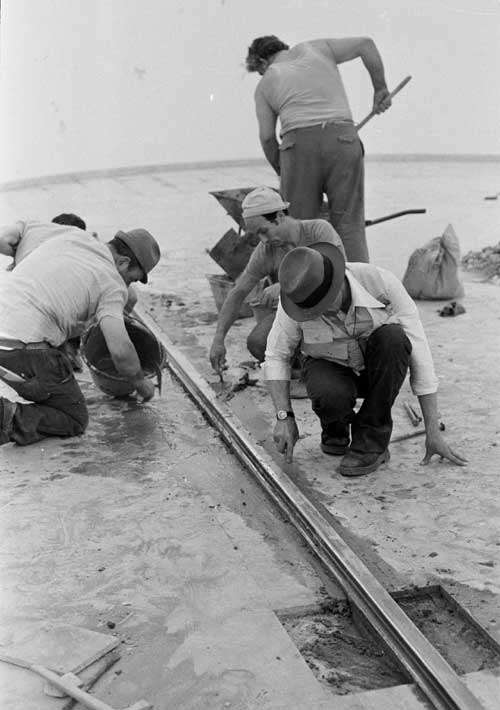 Joseph Beuys, Venice Biennale, 1976