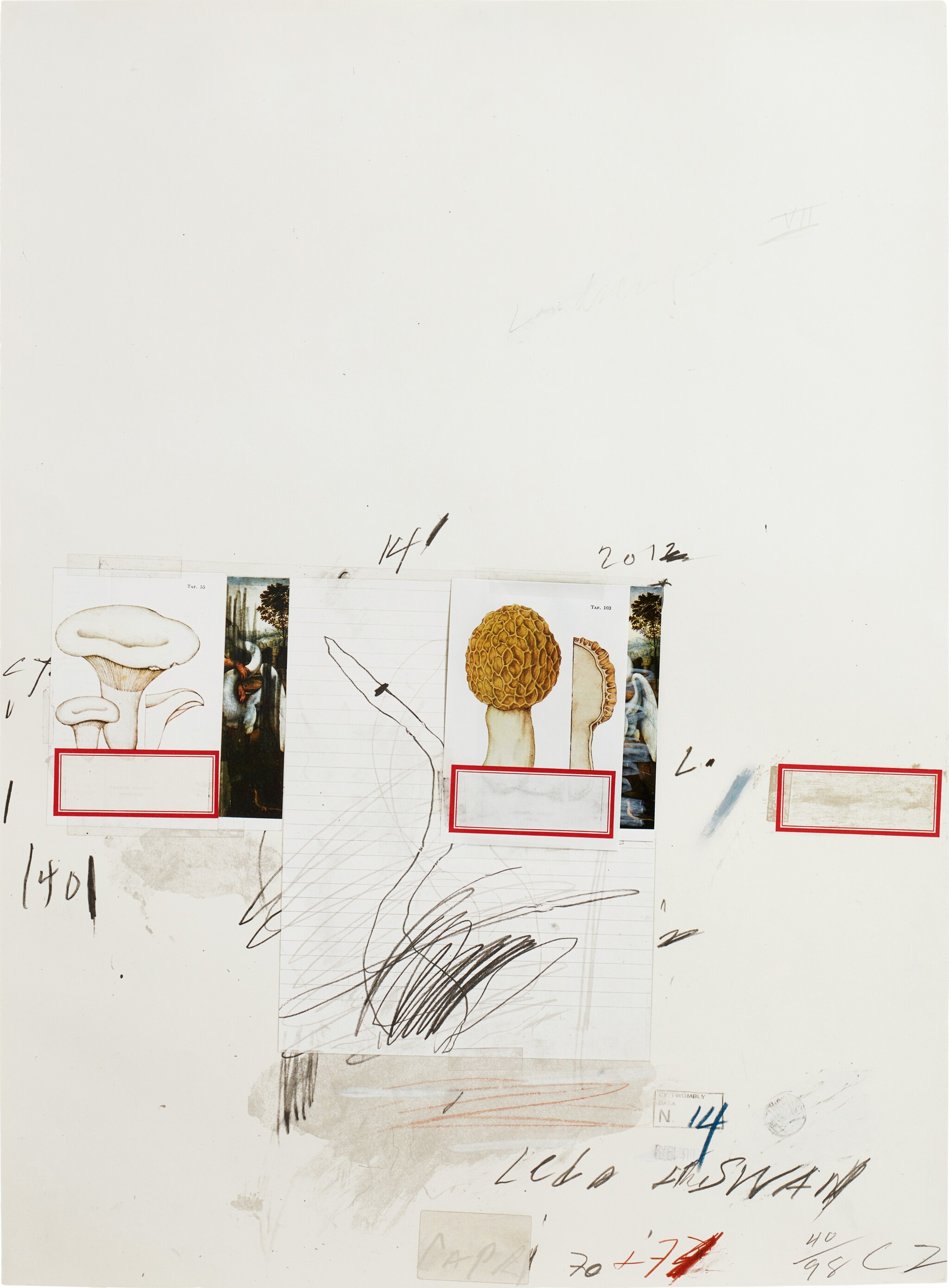 Cy Twombly: NATURAL HISTORY PART I NO.I / Mixed media technique: lithograph, grano-lithograph, collotype, photochrome with collage and drawing by the artist. / Paper size 76 x 56 cm / Edition 98 (1–98) / Bastian 42.