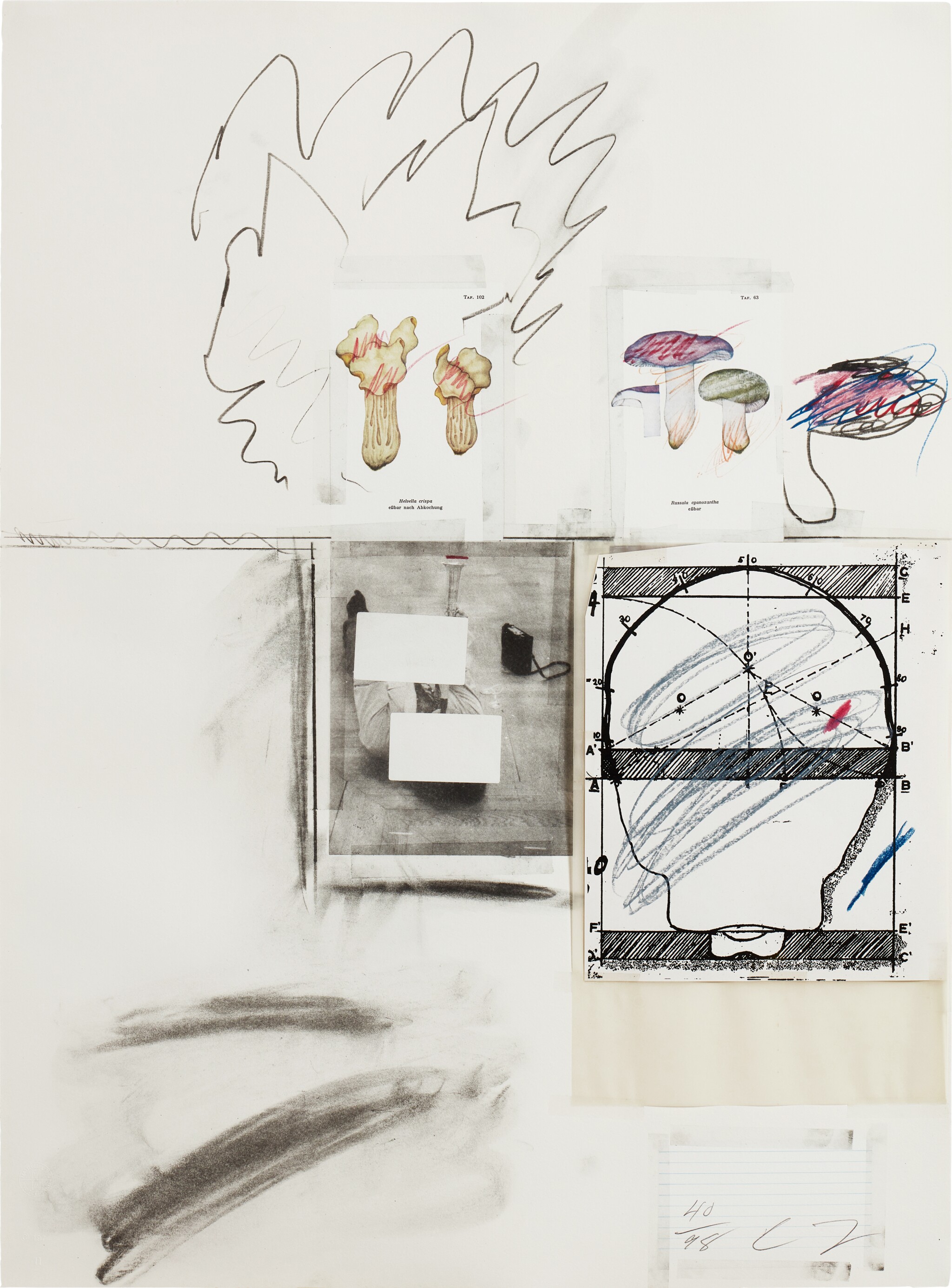 Cy Twombly: NATURAL HISTORY PART I NO.II / Mixed media technique: lithograph, grano-lithograph, collotype, photochrome with collage and drawing by the artist. / Paper size 76 x 56 cm / Edition 98 (1–98) / Bastian 43.