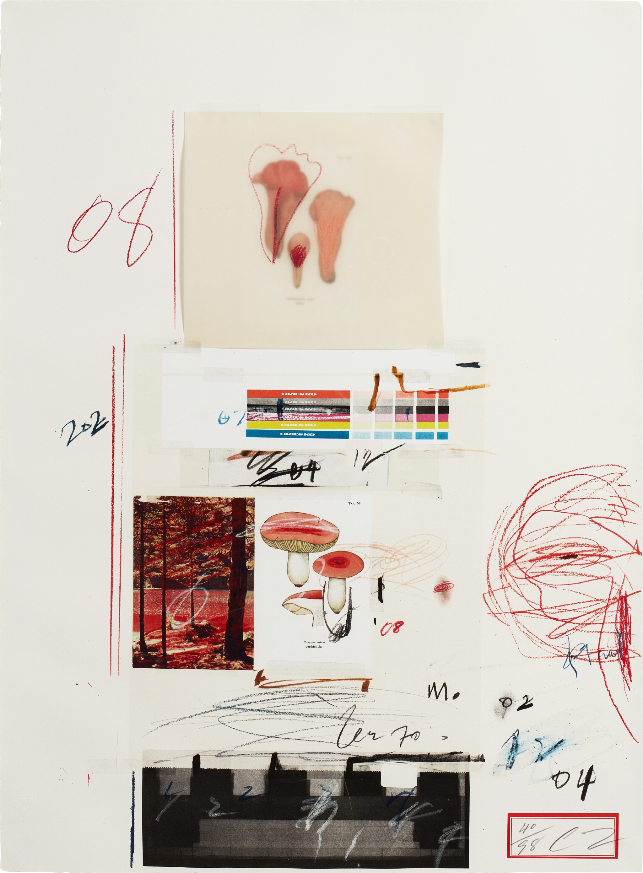 Cy Twombly: NATURAL HISTORY PART I NO.V / Mixed media technique: lithograph, grano-lithograph, collotype, photochrome with collage and drawing by the artist. / Paper size 76 x 56 cm / Edition 98 (1–98) / Bastian 46.