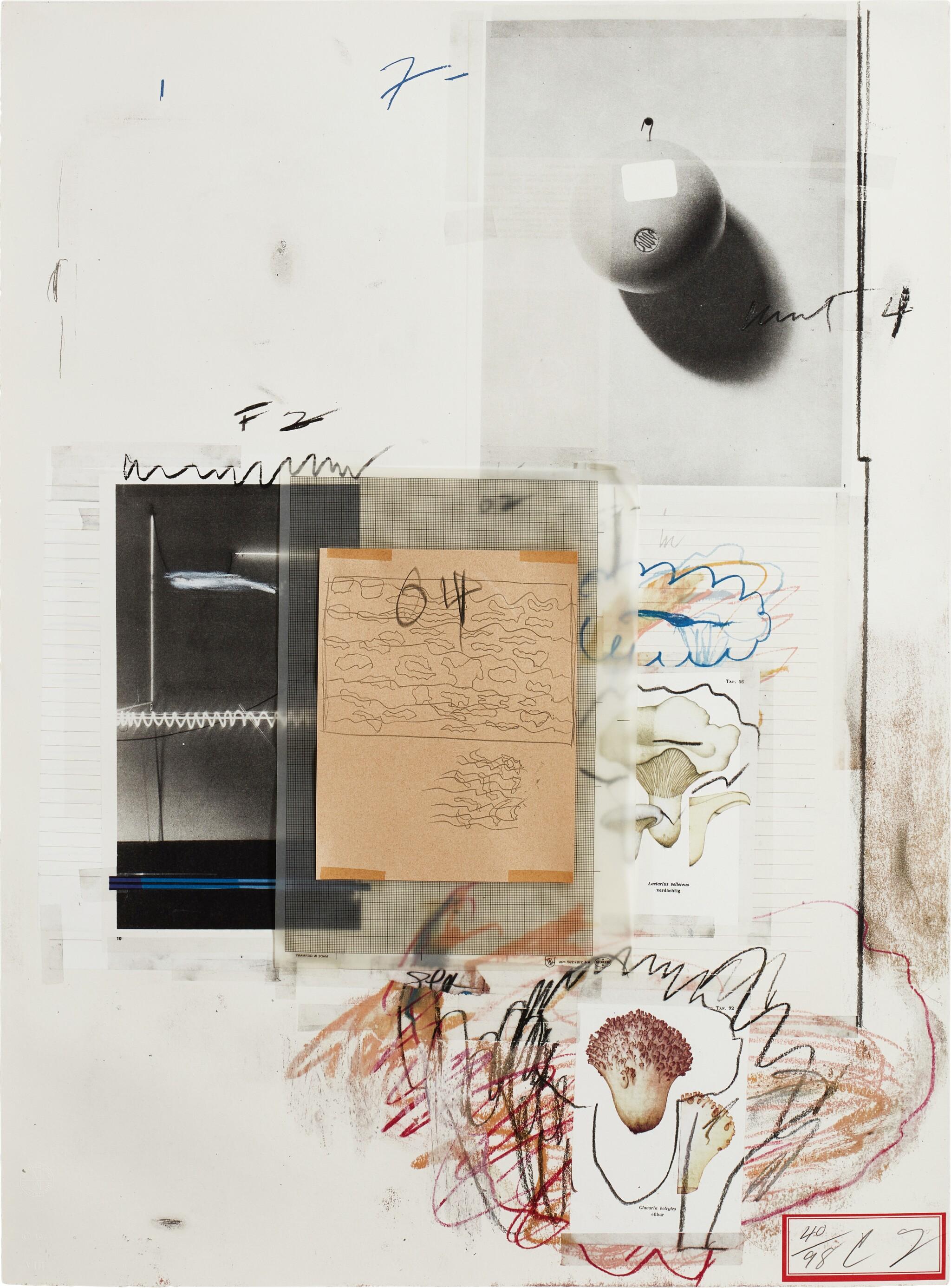 Cy Twombly: NATURAL HISTORY PART I NO.VIII / Mixed media technique: lithograph, grano-lithograph, collotype, photochrome with collage and drawing by the artist. / Paper size 76 x 56 cm / Edition 98 (1–98) / Bastian 49.
