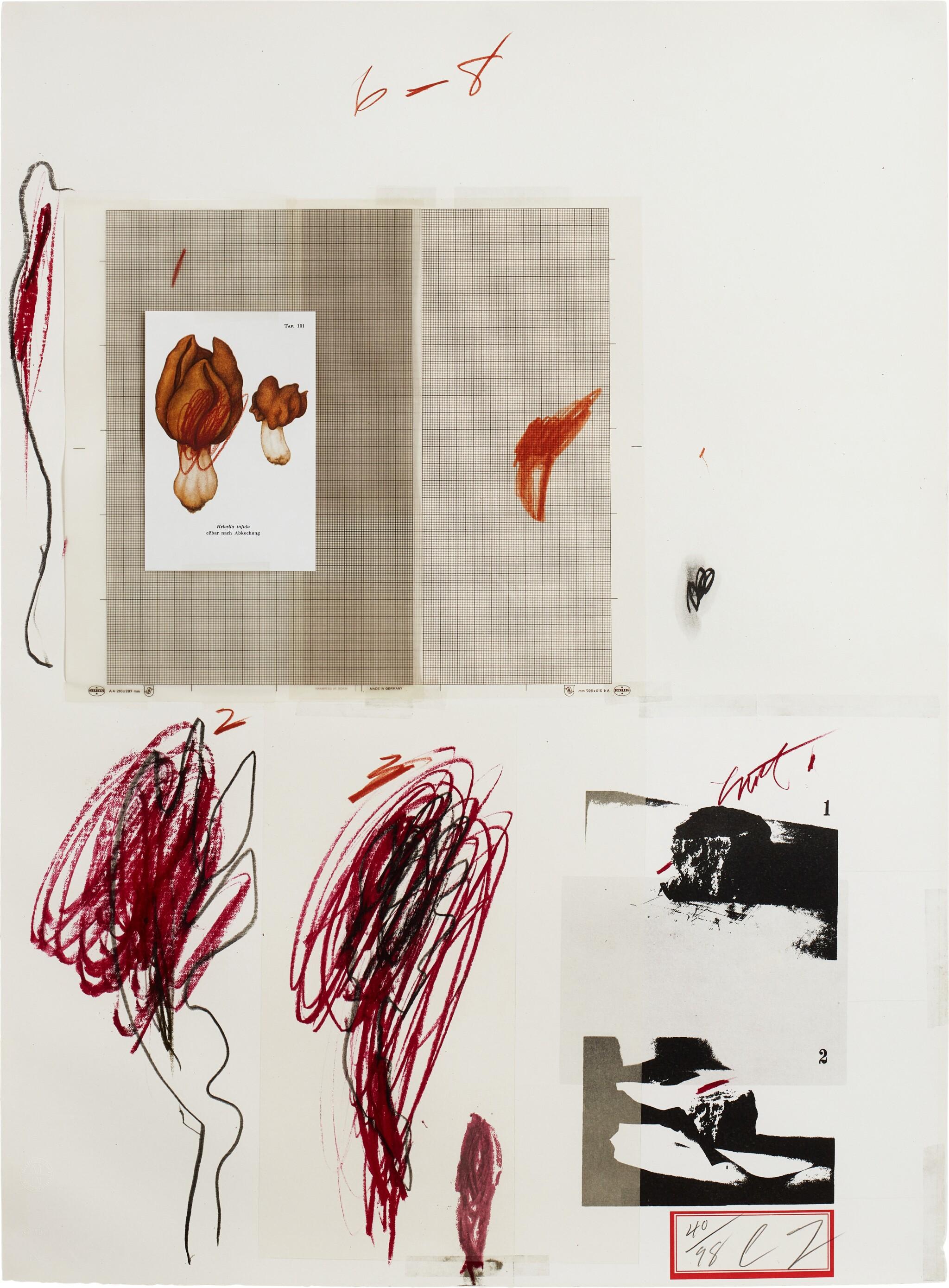 Cy Twombly: NATURAL HISTORY PART I NO.IX / Mixed media technique: lithograph, grano-lithograph, collotype, photochrome with collage and drawing by the artist. / Paper size 76 x 56 cm / Edition 98 (1–98) / Bastian 50.