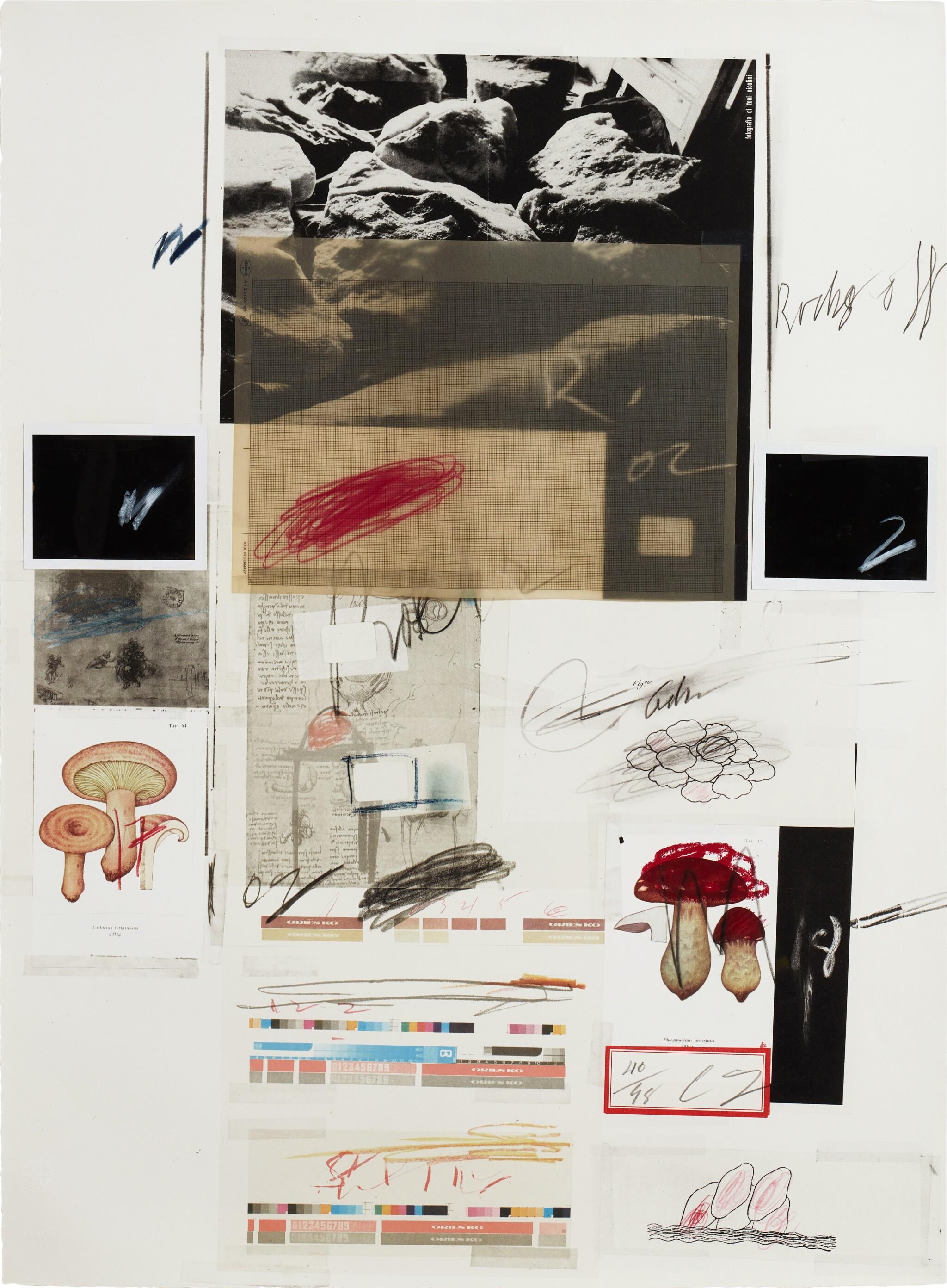 Cy Twombly: NATURAL HISTORY PART I NO.X / Mixed media technique: lithograph, grano-lithograph, collotype, photochrome with collage and drawing by the artist. / Paper size 76 x 56 cm / Edition 98 (1–98) / Bastian 51.