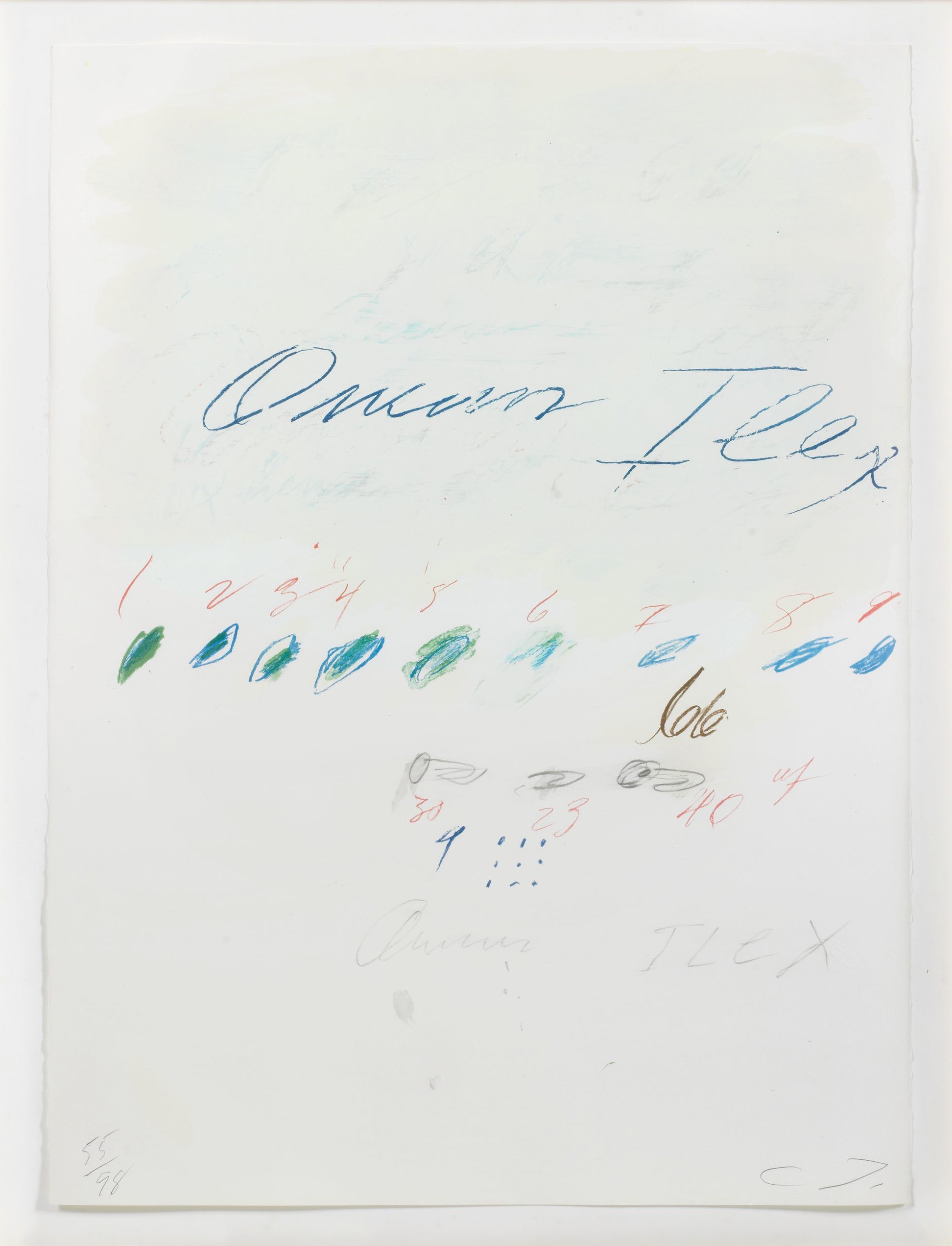 Cy Twombly: NATURAL HISTORY PART II QUERCUS ILEX / Mixed media technique: lithograph, grano-lithograph, collotype / Paper size 76 x 56.5 cm / Edition 98 (1–98) / Bastian 53.