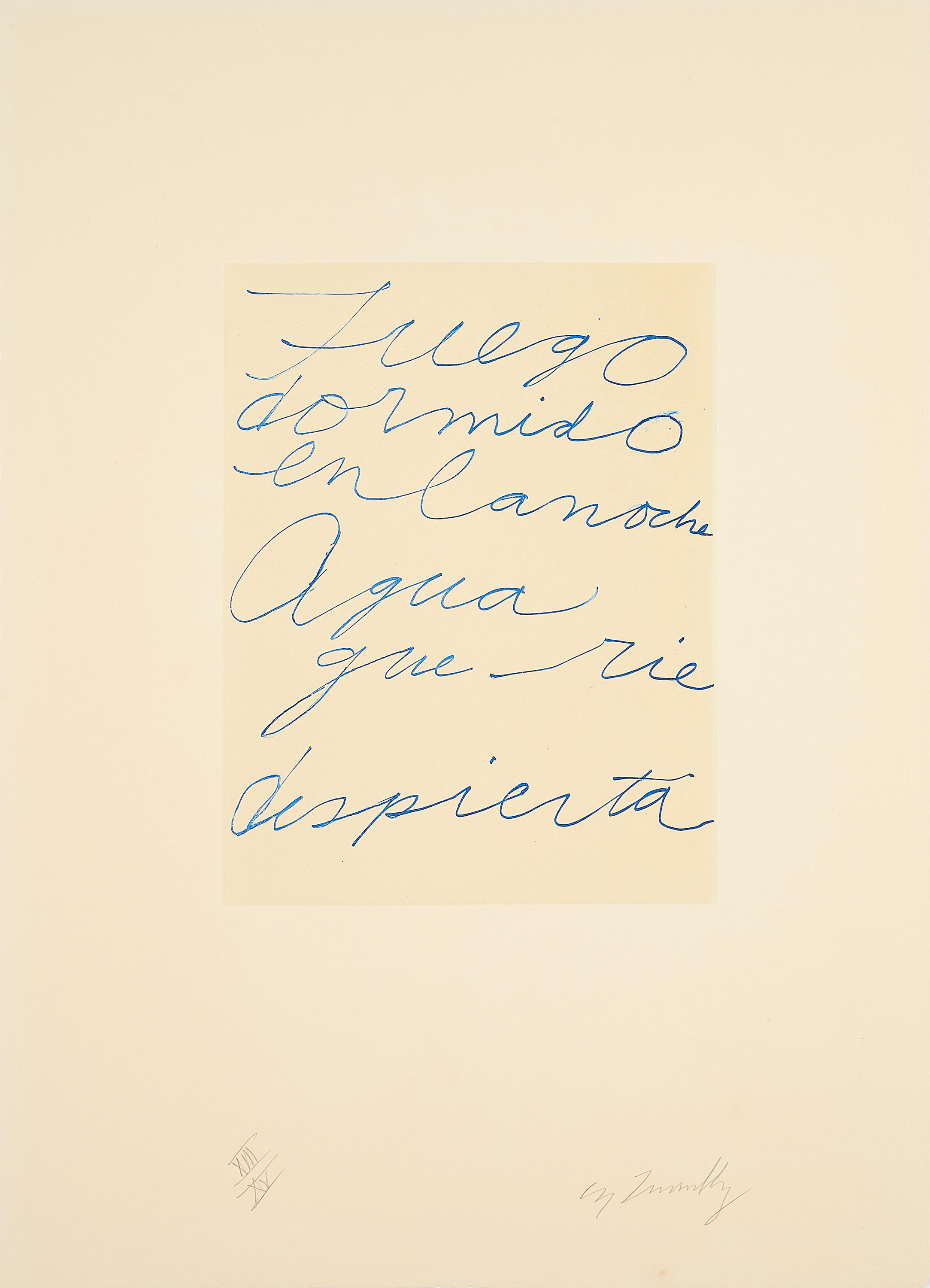 Cy Twombly: OCTAVIO PAZ CY TWOMBLY 1993 / Heliogravure in colours / Paper size 61.5 x 45 cm / Edition 15 (1–15 roman numbers) / Bastian 82.