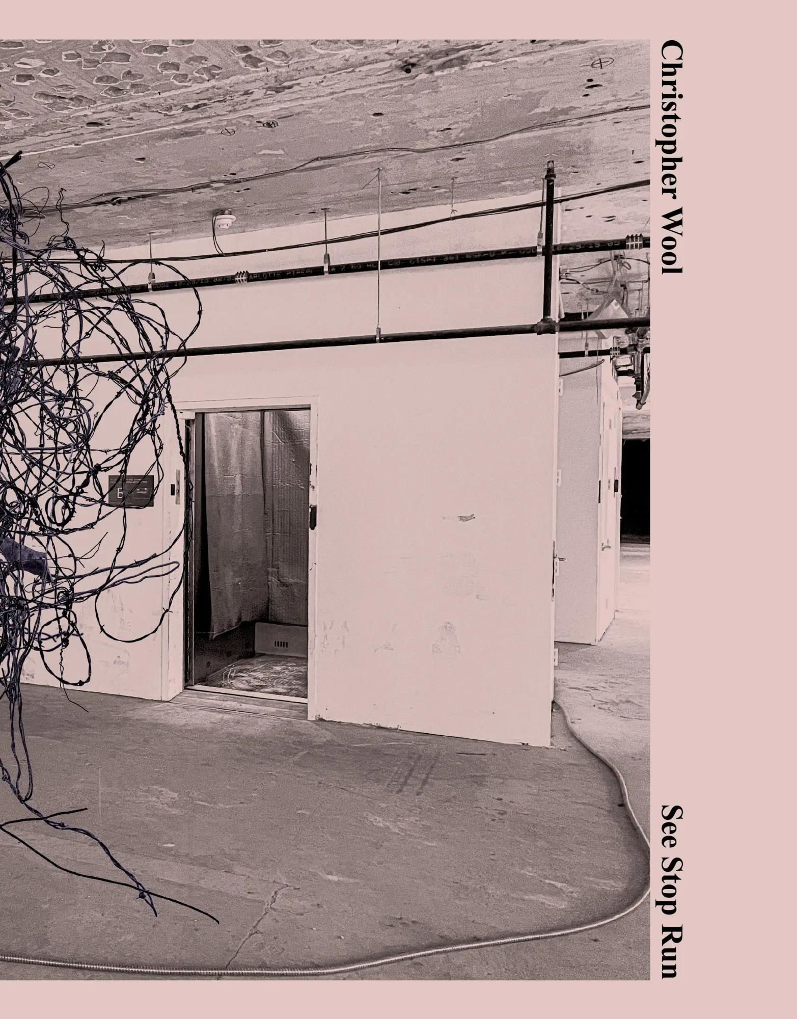 See Stop Run / Christopher Wool, Anne Pontegnie